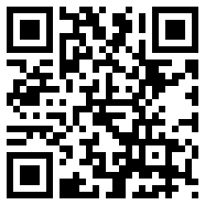 divirtual!汉化版