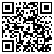 vivox300图片高清大图