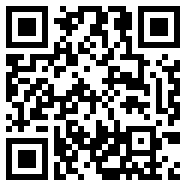 nn加速器2.0.3