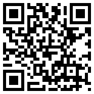 divirtual汉化安卓版