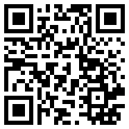 vivo国际版rom