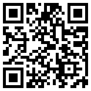 神偷大作战